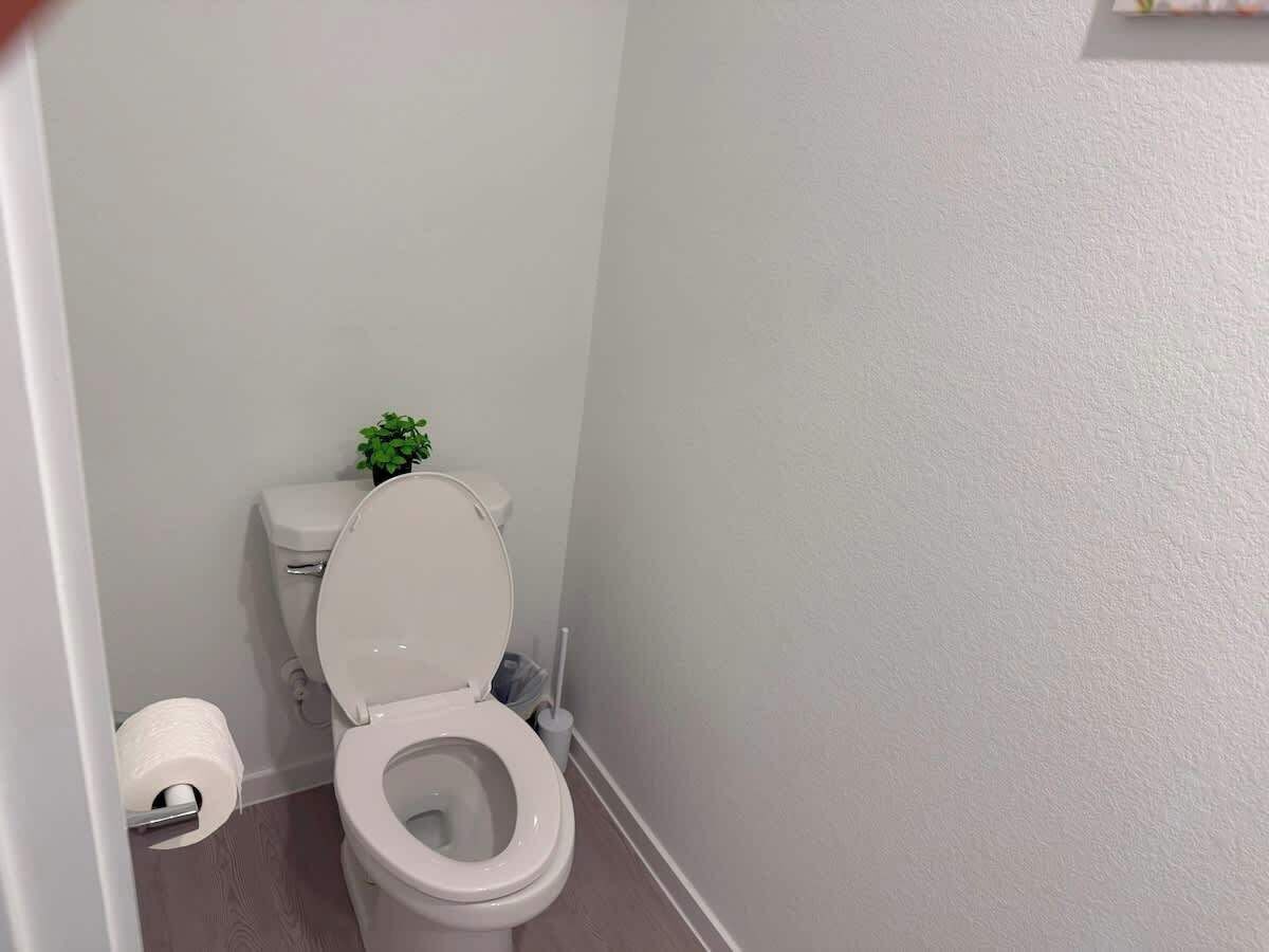 A small, clean bathroom with a white toilet, a toilet paper roll, and a small green plant on the toilet tank.