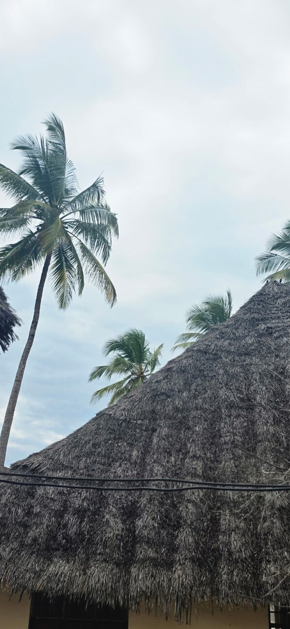 A thatched-roof building with a palm tree in the foreground. - Furaha Beach Bungalows by Serenity (Jambiani)
