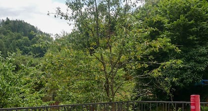 Spacious vacation apartment on the edge of the Palatinate Forest