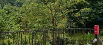 Spacious vacation apartment on the edge of the Palatinate Forest