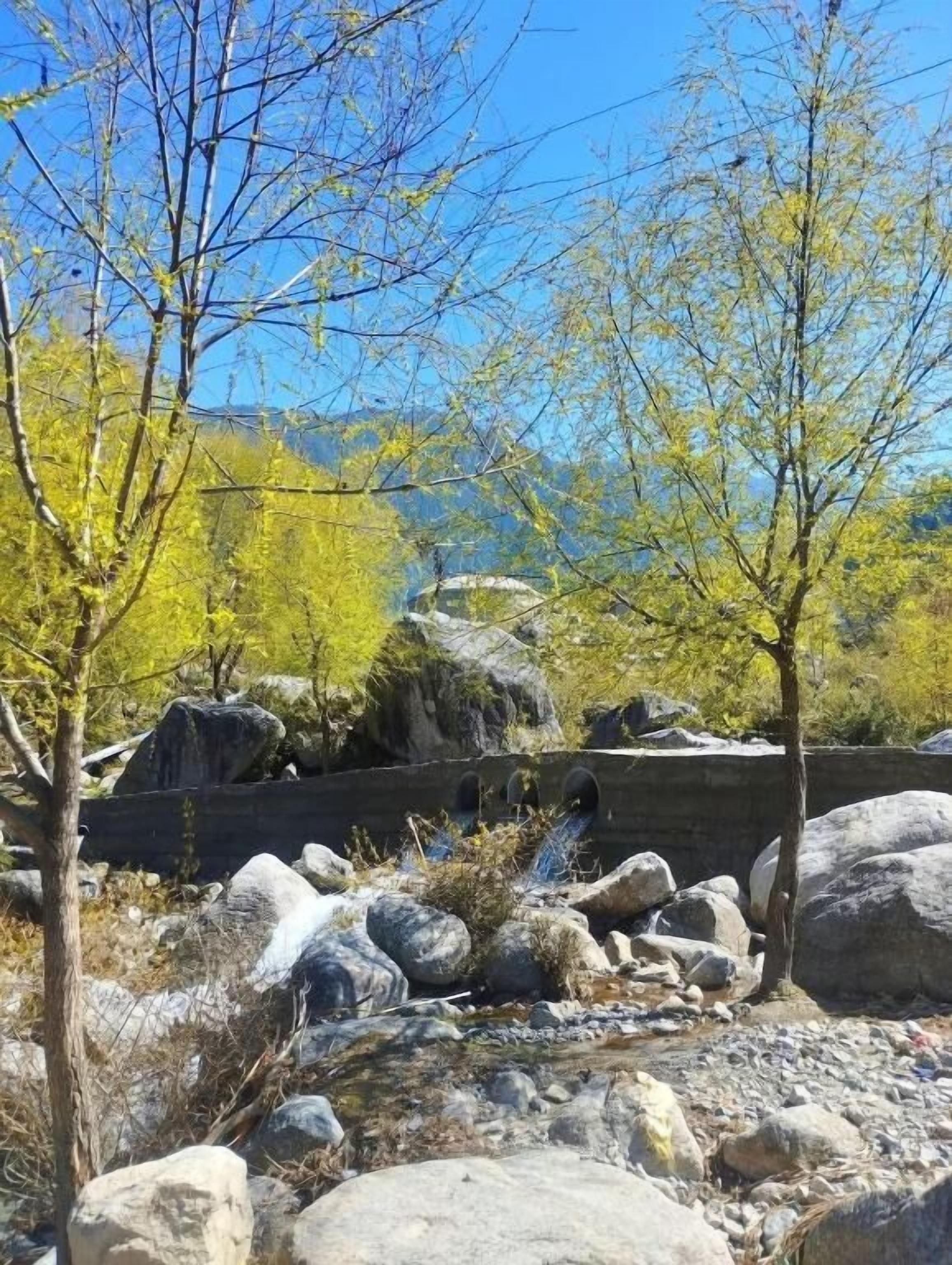 A natural landscape with rocky terrain, trees, and a clear blue sky.