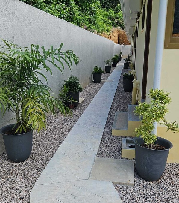 Um caminho estreito ladeado por plantas em vasos, levando a uma entrada de edifício.