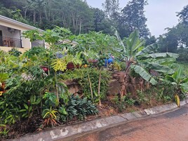 Jardín