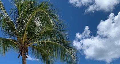 Studio CaĂŻpirhina