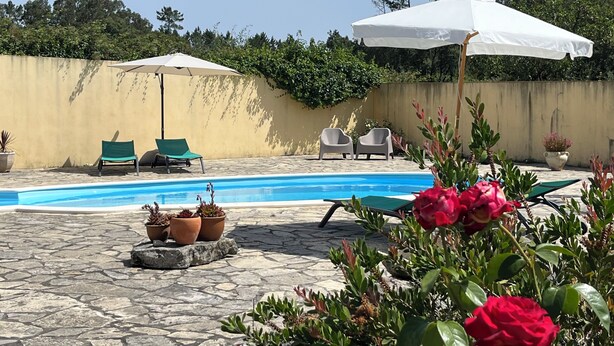 A swimming pool with lounge chairs and umbrellas, surrounded by potted plants and a stone patio.