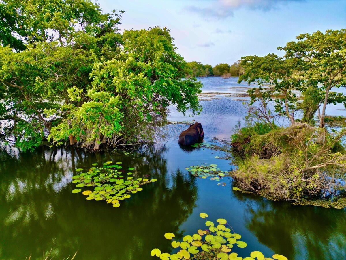 Image de profil de l’hôte