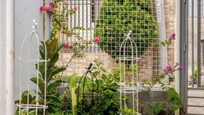 House, 3 Bedrooms, Balcony, Garden View | Garden - Charming Iloilo City House With Garden View (Iloilo)