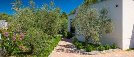 المنطقة المحيطة بالمنشأة