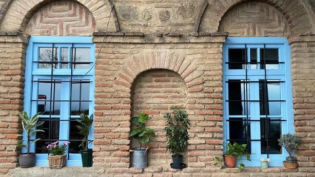 A building with two blue-framed windows, each with a brick arch above. There are potted plants on the windowsill.