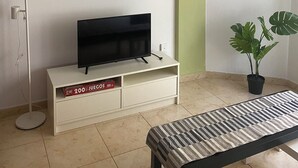 Un salon avec un téléviseur à écran plat posé sur un meuble blanc, un luminaire suspendu, des étagères remplies de livres et d’objets décoratifs, une plante en pot et un tapis à rayures.