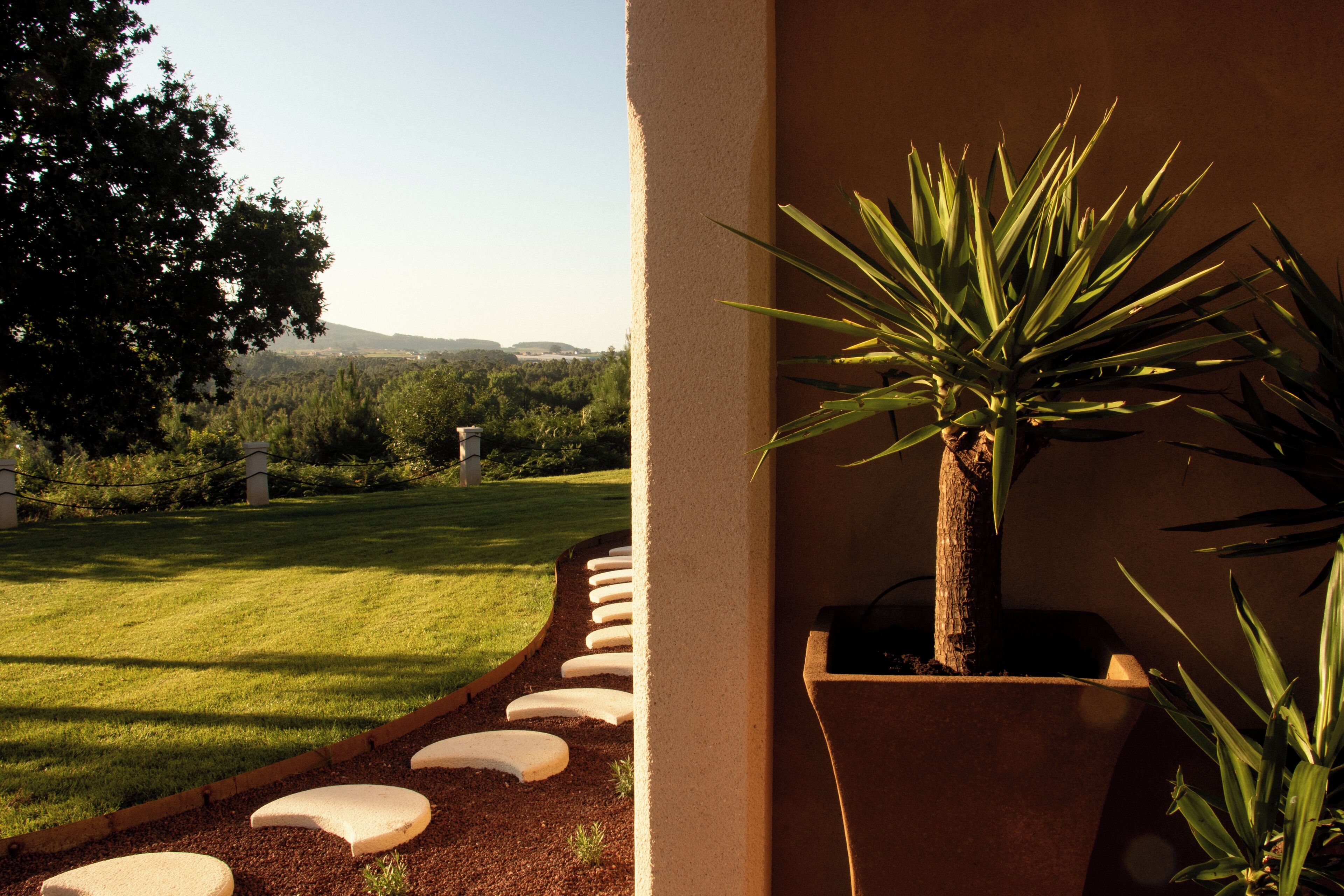 A garden with a palm tree in a planter, a pathway with stepping stones, and a view of a green landscape with trees and hills in the distance.