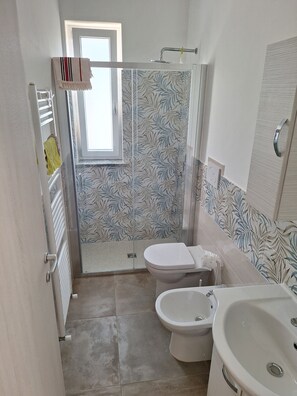Shower, hair dryer, bidet, towels