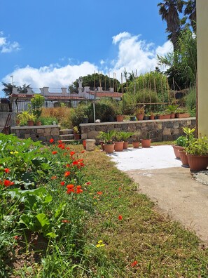 المنطقة المحيطة بالمنشأة