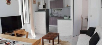 The Bangor Coon Apartment Liouba