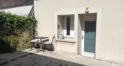 Le Bangor Coon Duplex Vero