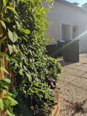Área da propriedade