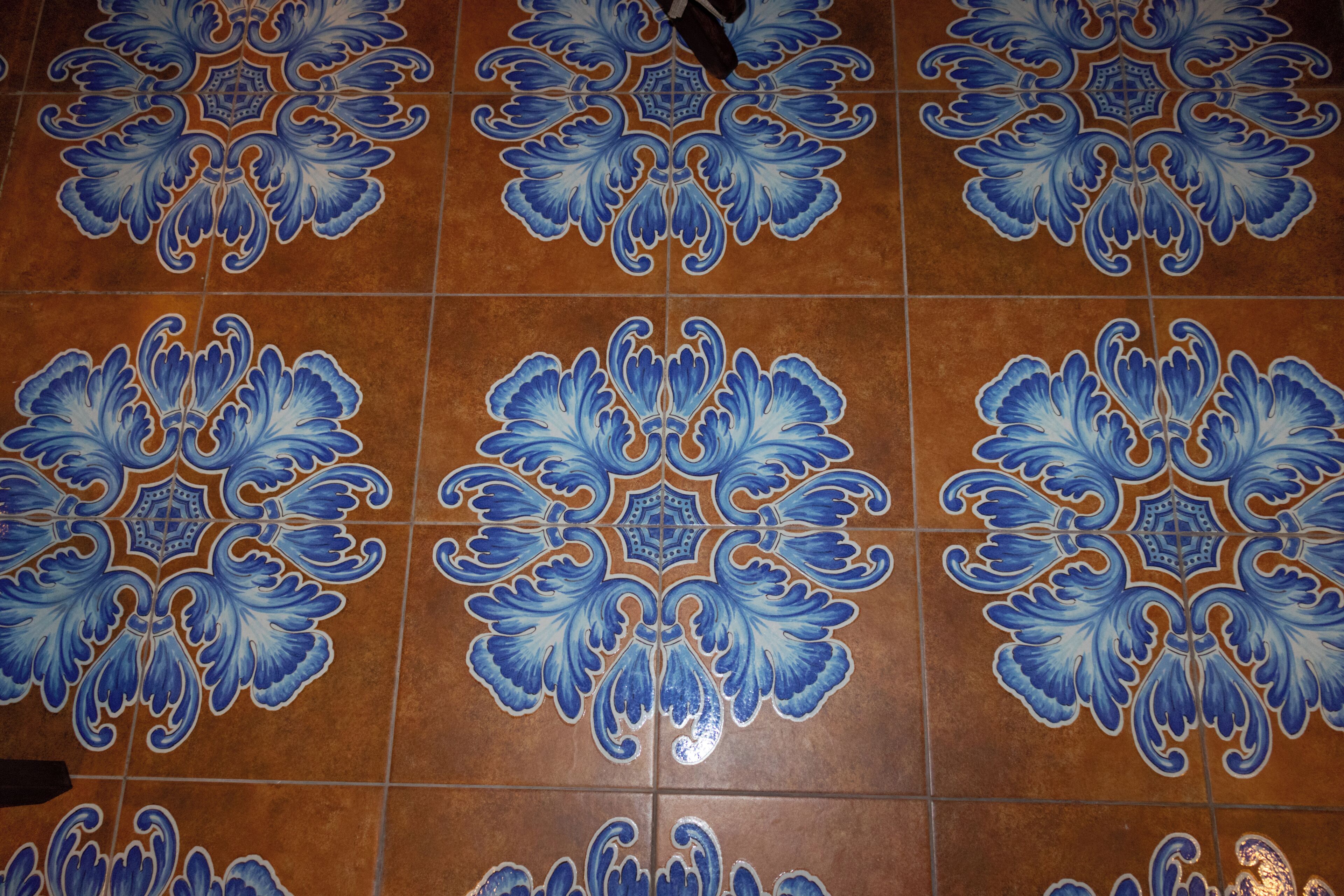 A tiled floor with intricate blue patterns.