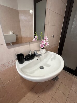 Shower, hair dryer, bidet, towels