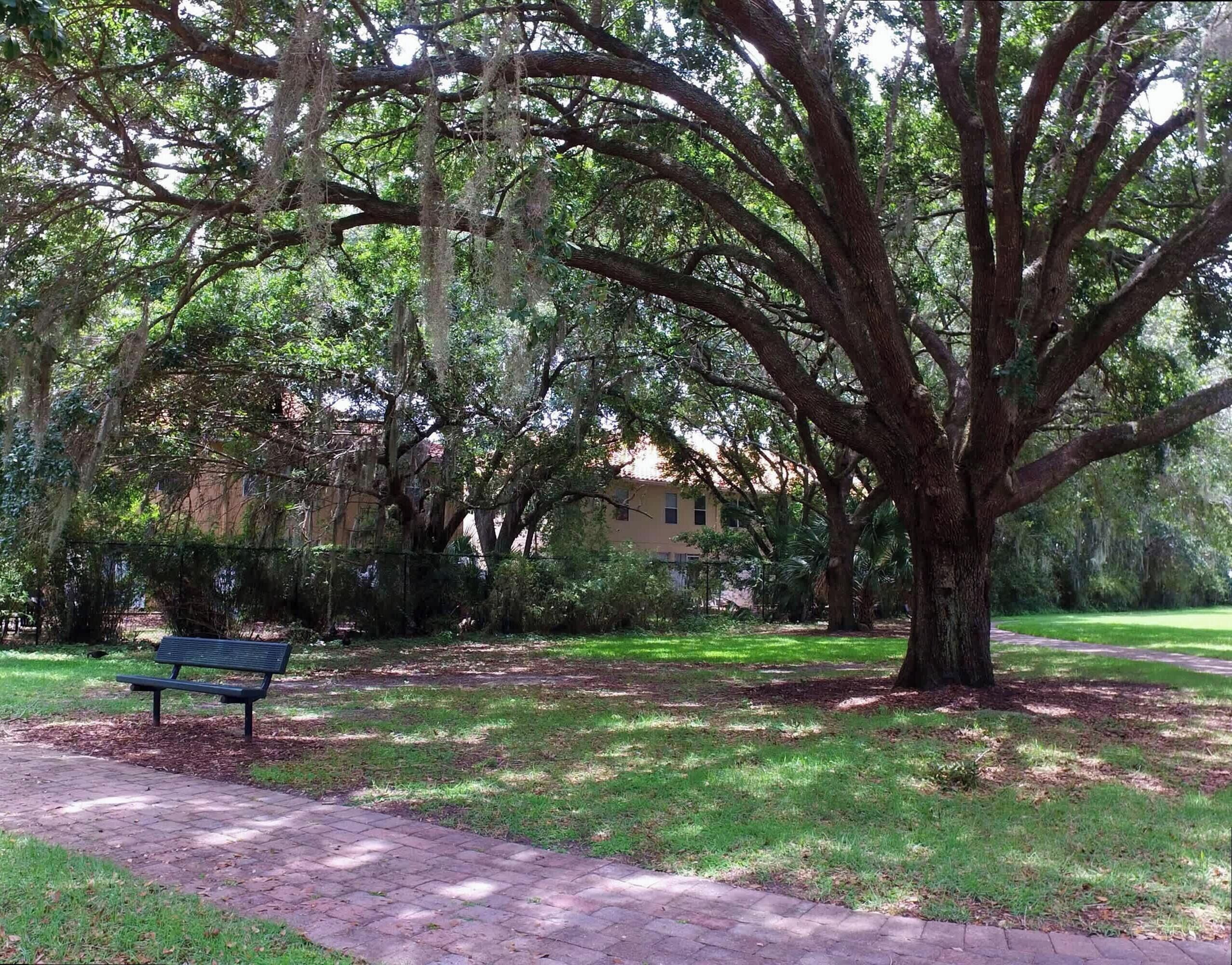 A park with a bench and a large tree.