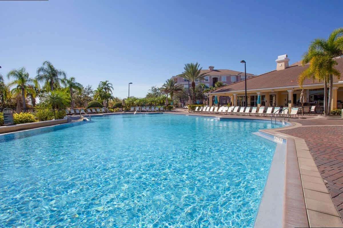 A swimming pool with lounge chairs and palm trees.