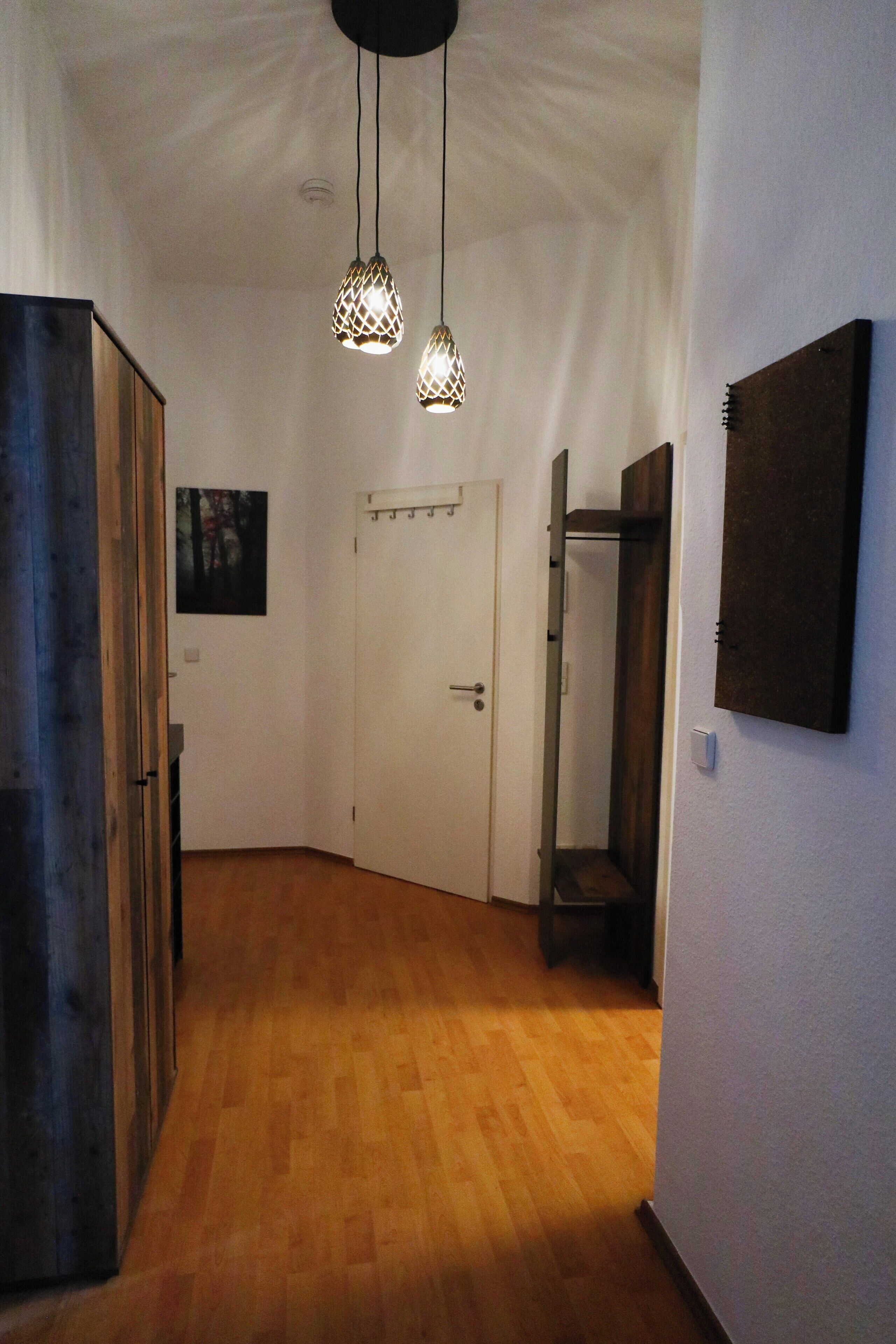 A hallway with wooden flooring, a white door, and pendant lighting.