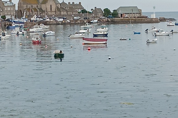 Port de plaisance