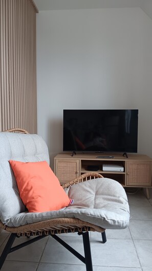 TV