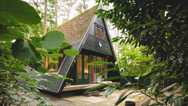 A small, triangular house with a sloped roof, surrounded by dense greenery. - Boshuisje Rekem Two-Bedroom Houses (Lanaken)