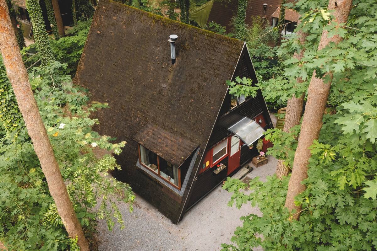 A small, dark-roofed cabin surrounded by trees.
