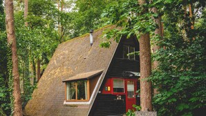 A unique, sloped-roof house nestled in a forest, with a red door and a small window. - Boshuisje Rekem Two-Bedroom Houses (Lanaken)
