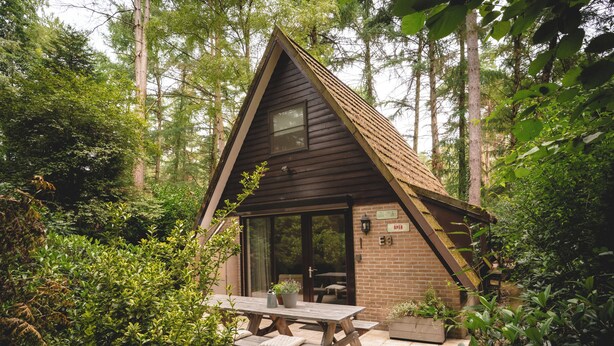 A small, rustic cabin with a wooden exterior, a large sliding glass door, and a picnic table in front. - Boshuisje Rekem Three-Bedroom Houses (Lanaken)