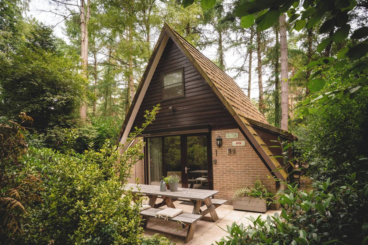 A small, rustic cabin with a wooden exterior, a large glass door, and a picnic table in front.