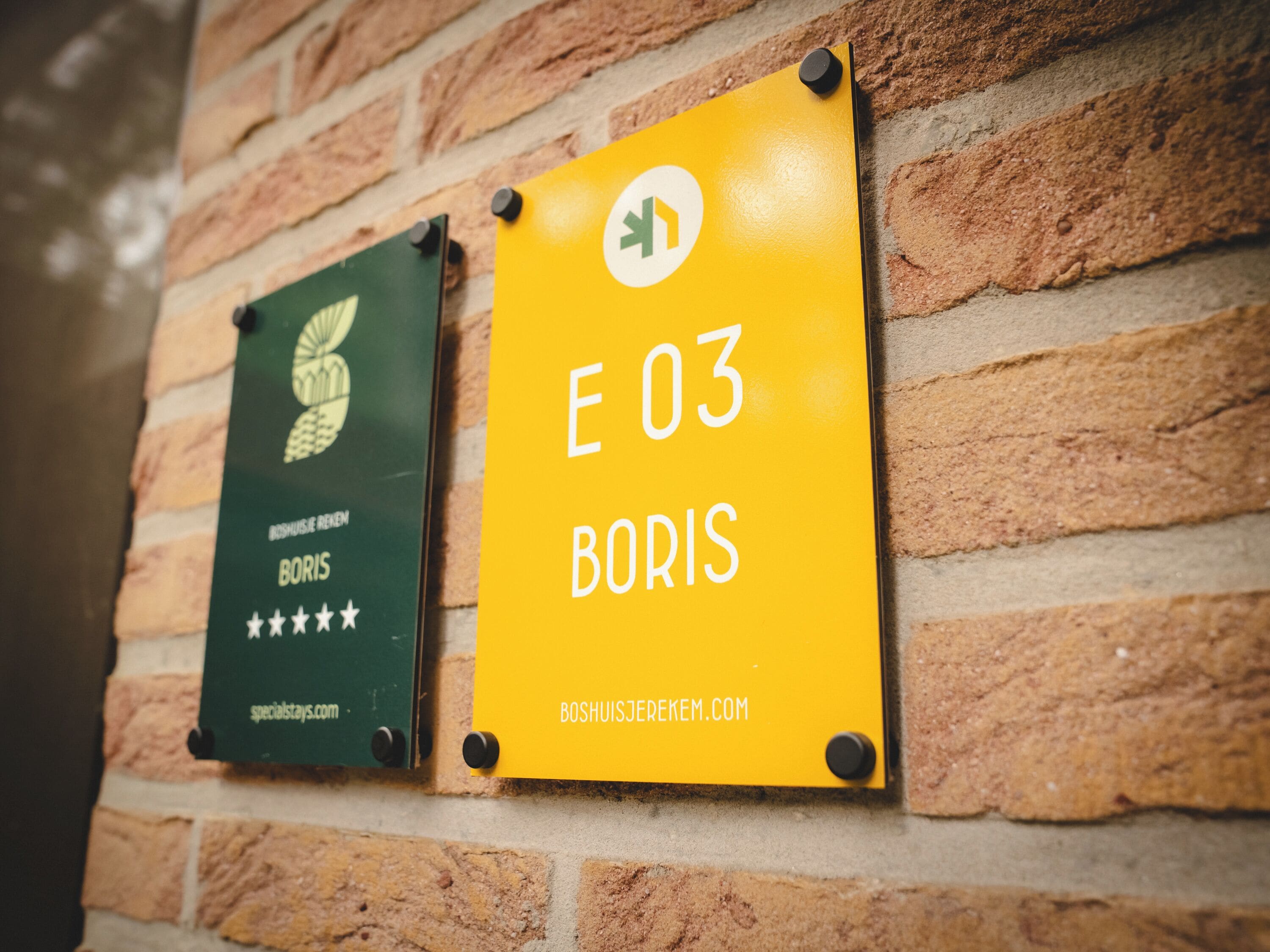 Due cartelli su un muro di mattoni: uno verde con il logo di un'ananas e un testo, e uno giallo con la scritta 'E 03 BORIS' e un URL di un sito web.