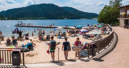 Wooden chalet mountain view garden 14 people 4 bedrooms Spa panoramic sauna