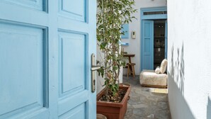 A blue door, a potted plant, a stone floor, and a white wall.