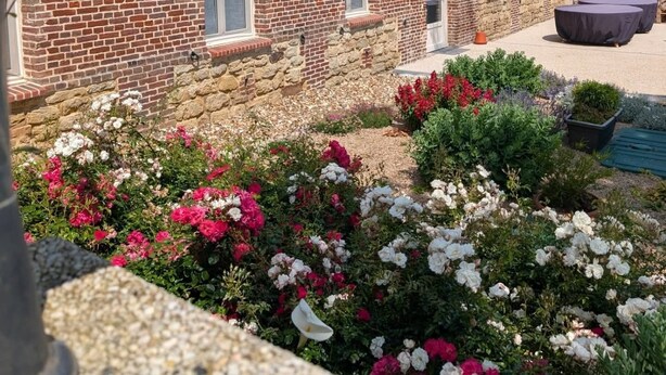 Un edificio de ladrillo con ventanas de arco y un jardín lleno de flores.