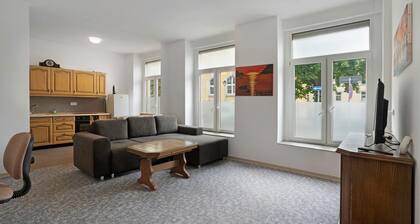 Apartment 'Welterbe Stadt Freiberg 1' mit WLAN
