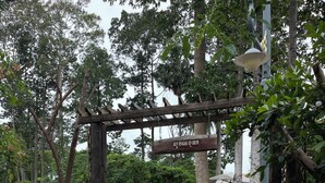 Ngoại thất