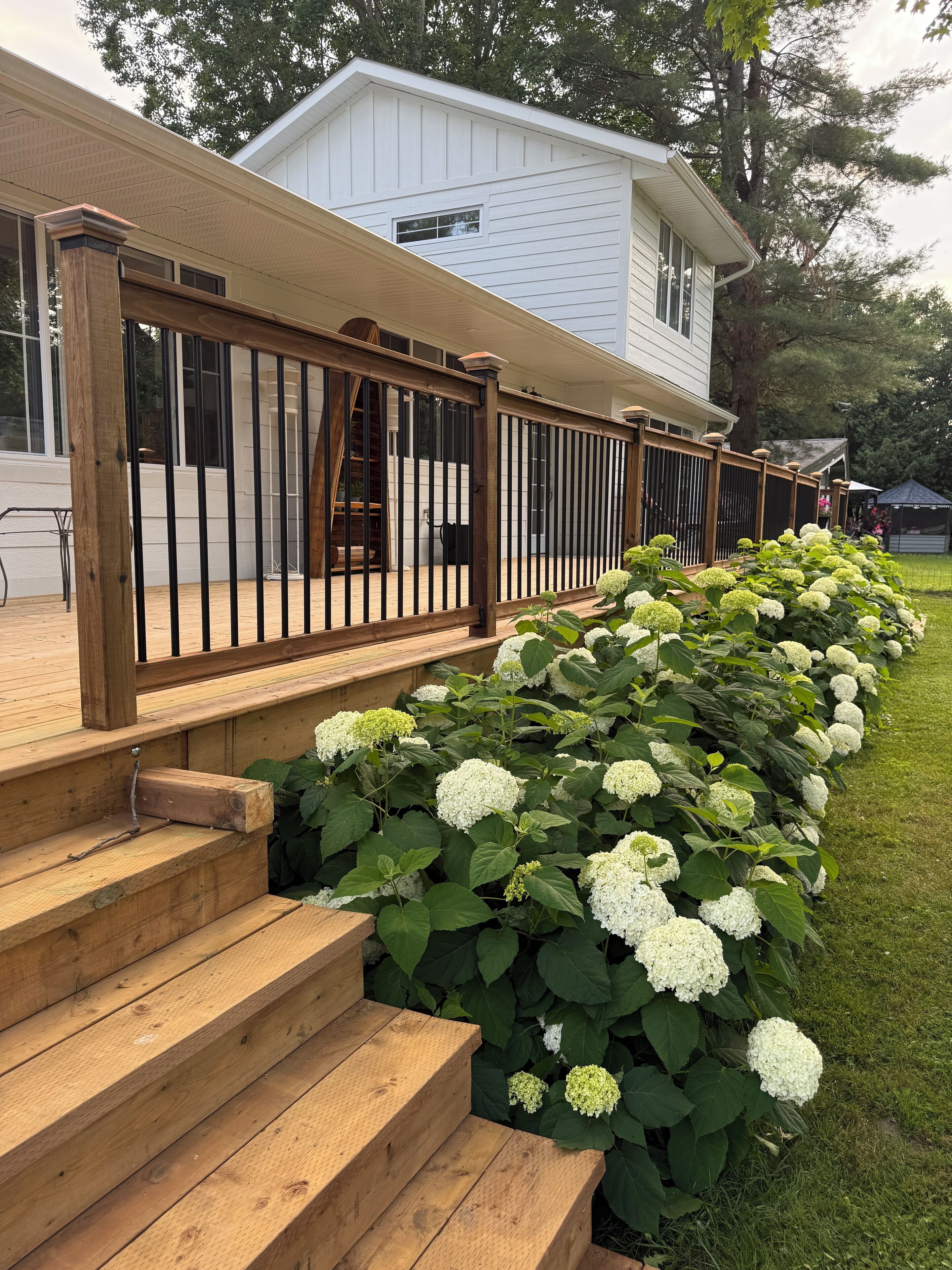 Parco della struttura