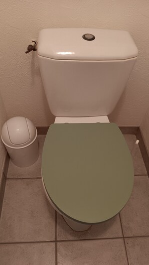 SĂšche-cheveux, serviettes fournies, papier toilette