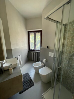 Shower, hair dryer, bidet, towels