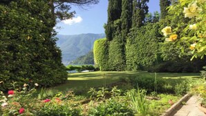 Ein üppiger Garten mit verschiedenen Pflanzen und Blumen, einem Weg und Blick auf ferne Berge.