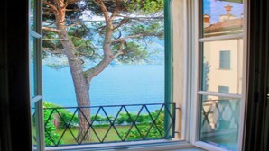 Ein Fenster mit Blick auf einen Baum und ein Gewässer.