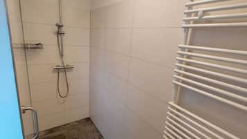 Shower, towels, toilet paper