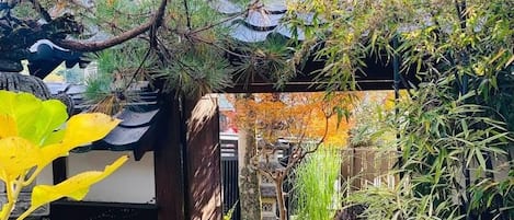 庭園
