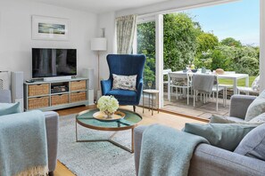 TV, fireplace, books