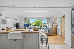 TV, fireplace, books