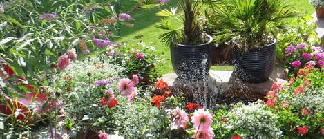 Terrain de lâhĂ©bergement