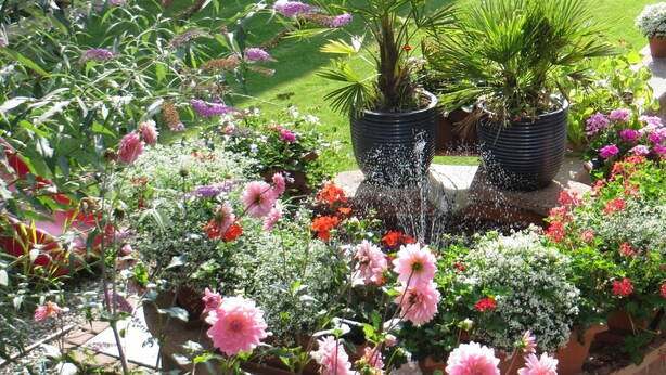 A garden with various plants and flowers, a water feature, and a lawn.