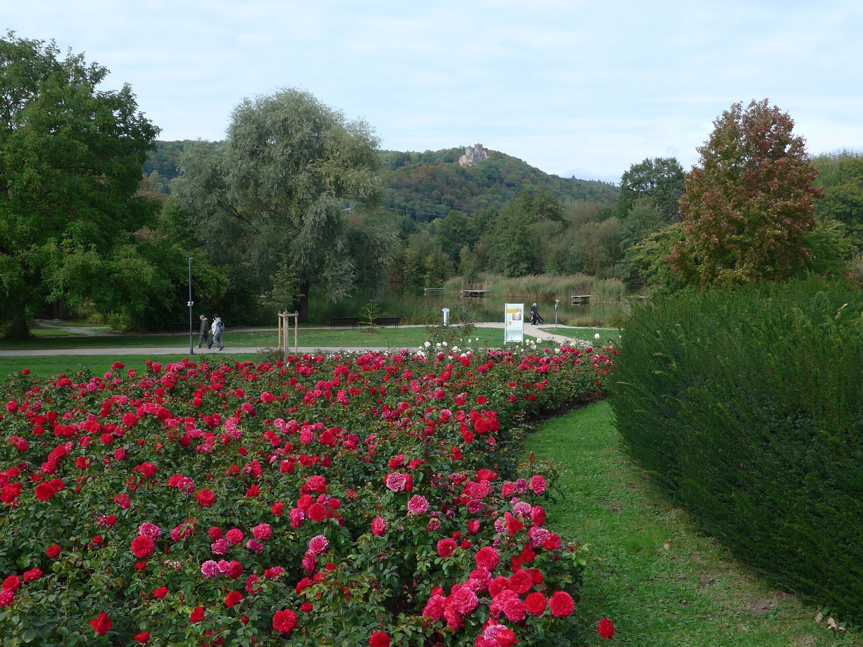 A garden with a pathway, a statue, and a hill with a building in the background.